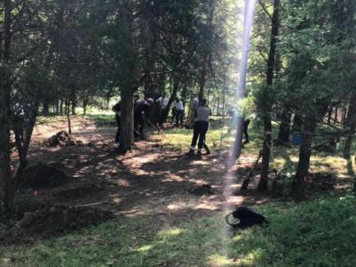 Searching area near Kincaid Lake State Park.